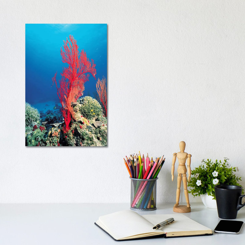 Red Coral by Unknown Artist - Wrapped Canvas Print, 20.32 cm H x 30.48 cm W