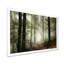 Lumière dans une forêt d'automne dense avec brouillard, œuvre d'art-304307547-358135836-358135837