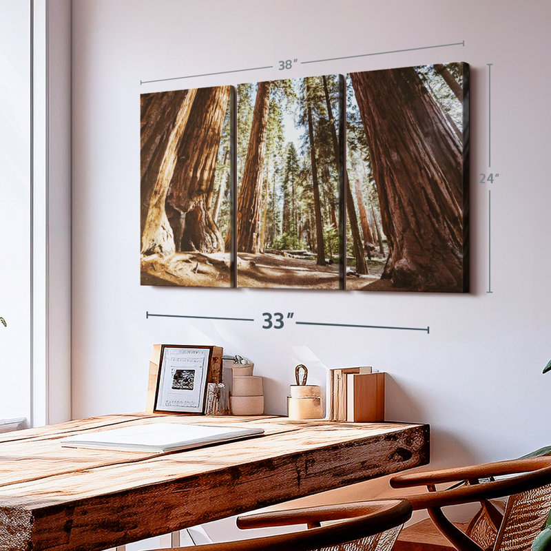 «Summer In Sequoia Park» sur toile, H 24 po x l 38 po x P 1,25 po
