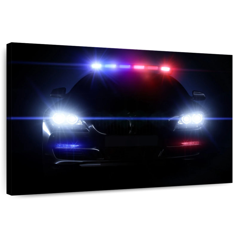 Mehar Police Car, 32" H x 48" W