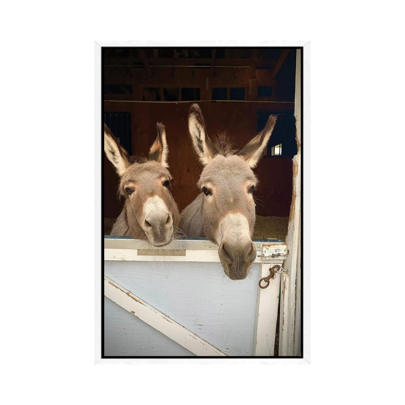 Pair of Donkeys 1 Piece Wall Art on Canvas, 66.04cm H x 45.72cm W x 3.81cm D, White Floater Framed