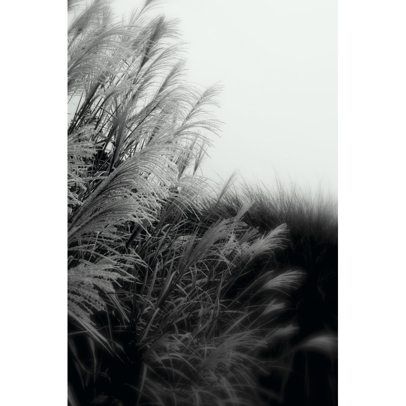 Photography/Landscape 182 - Wrapped Canvas Print, 46cm H x 30cm W