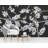 Moonlight Forrest Moonlight Forest Wall Mural-46360412