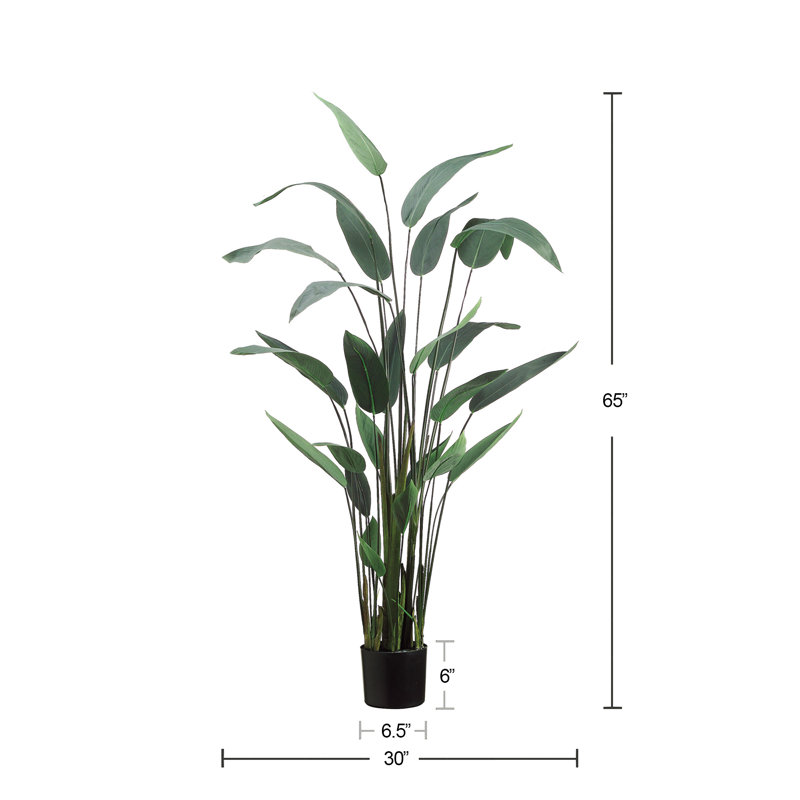 Elspeth 5.5' Faux Water Canna in Liner