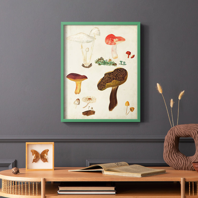 Reproduction encadrée de champignon Mushroom Species, Vert, H 10 po x l 8 po