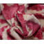 Square Pillow Cover & Insert-1351245657