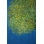 Untitled 2