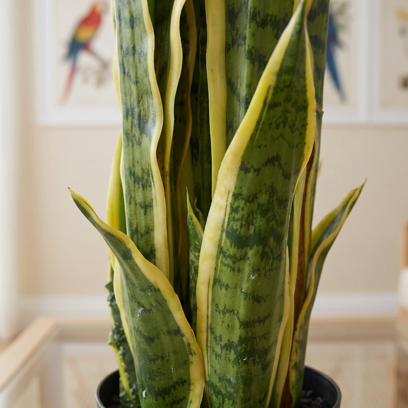 55cm Faux Plant in Pot Liner