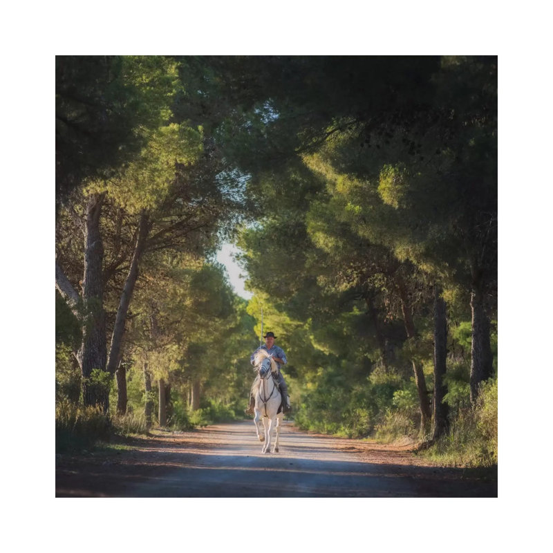 Camargue by Daniel Kordan - Wrapped Canvas Print, 45.72 cm H x 45.72 cm W x 1.91 cm D