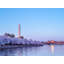 Blue Hour and Cherry Blossoms Photographic Print Canvas-65793424-65793425