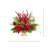 Holiday Arrangement with Berries