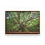 «Angel Oak Tree in Charleston» par Martin Podt, reproduction d'art-1545150328-1545150278-1545150329