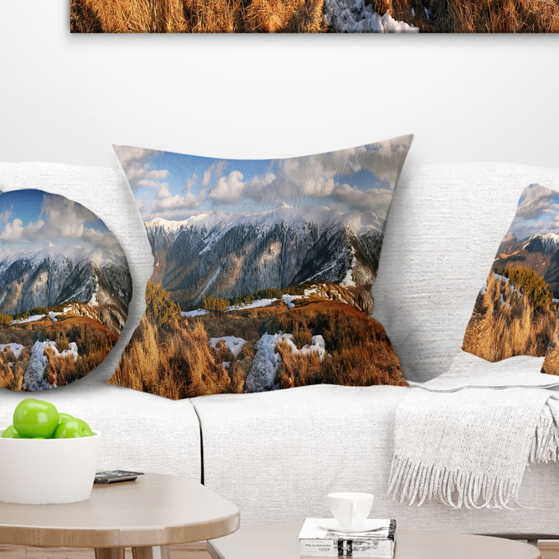 Coussin Schafer, 16 po x 1 po, Coussin décoratif