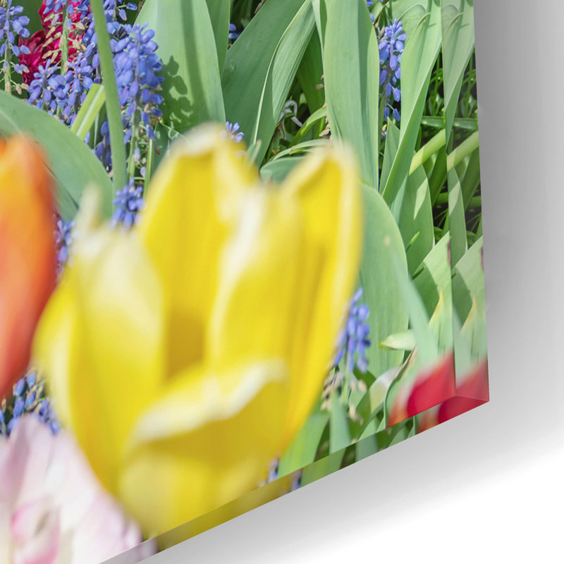"Tulipes Kuekenhaus I" par Richard Silver, H 12 po x l 16 po x P 0,13 po