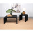 Cahya 2-Piece Rattan Coffee And End Table Set Black