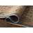 Rifle Paper Company x Loloi Edinburgh Wheat / Multi  Area Rug-129439530-126258220