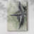 Found Starfish II -Gallery Wrapped Cavas-1554736049