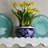 Garden and Terrace 3 Peces Garden Planter Set