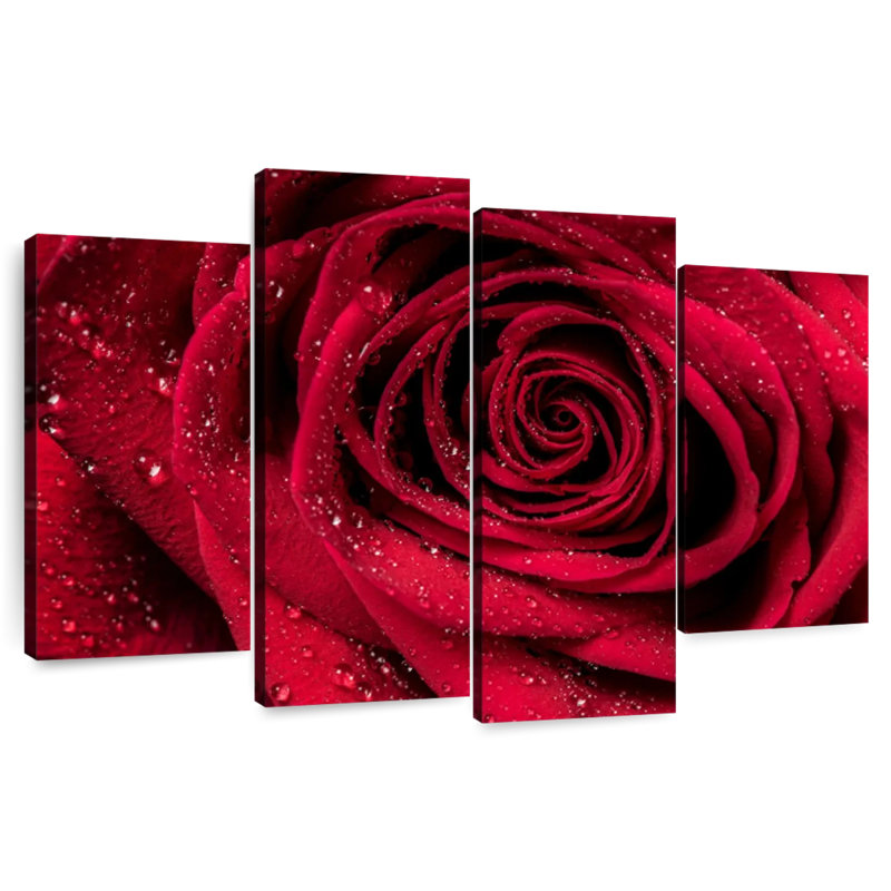 Harnek Velvety Red Rose Dew, 22" H x 36" W
