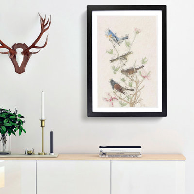 A Collection Of Finch Birds by John Audubon - Single Picture Frame Painting