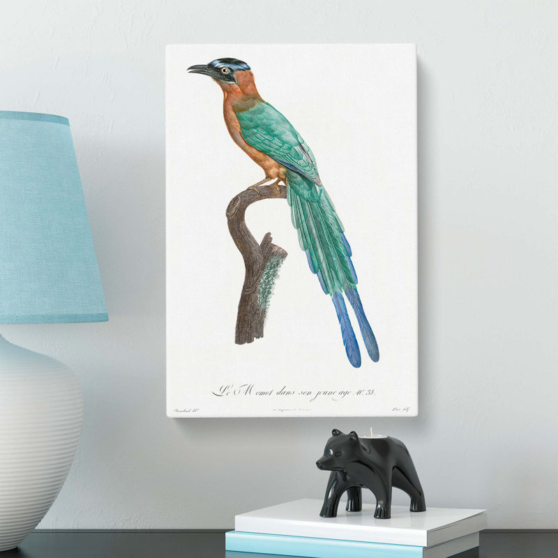 Motmot Bird by Jacques Barraband - Wrapped Canvas, 76cm H x 50cm W x 3cm D