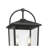 Strathden 19.75" High 2-Light Outdoor Post Lantern