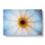 Down the Barrel in Blue and Yellow in Abstract - Wrapped Canvas-55313359