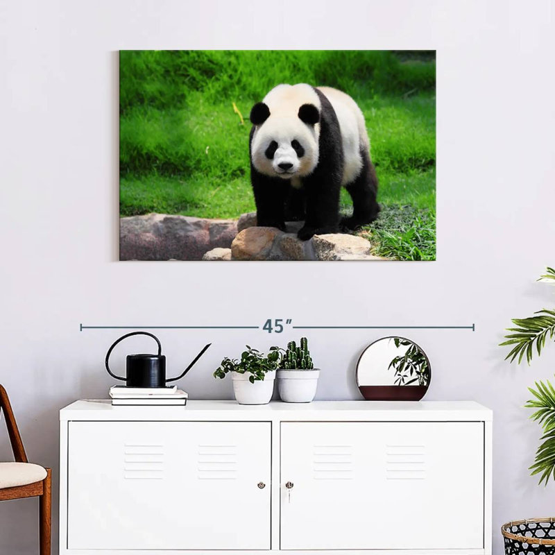 Crowle Strolling Panda, 24" H x 36" W