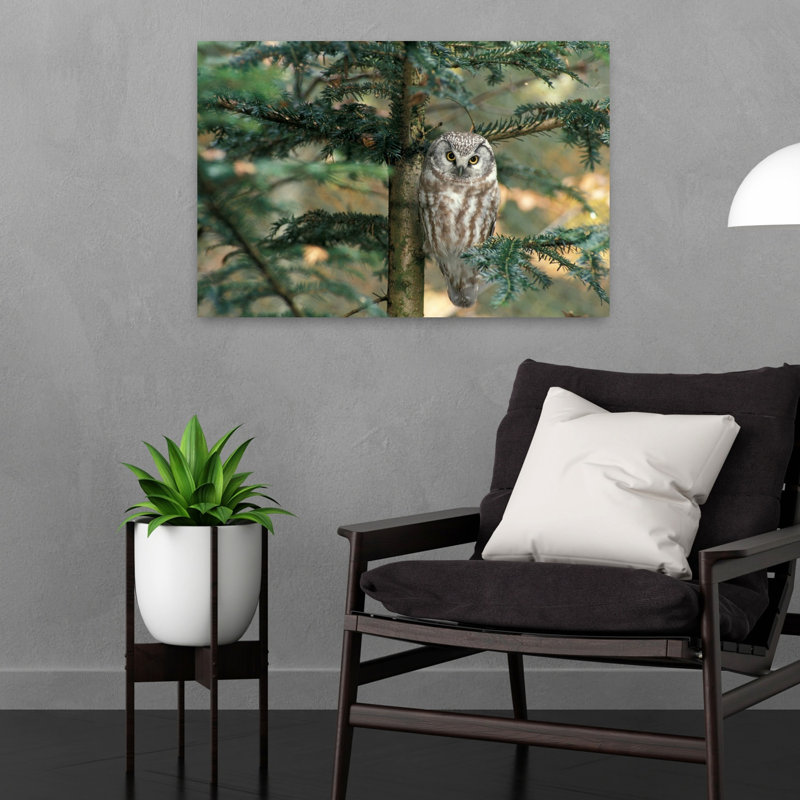 Chouette dans un arbre abstrait contemporain, H 16 po x l 24 po
