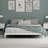 Dorothyann Solid Wood Platform Bed-100387599-100387592