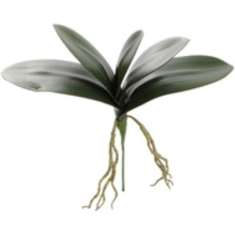 Grappe de phalaenopsis 14 po - paquet de 4