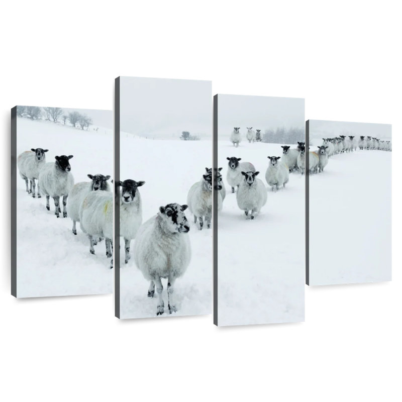 Brampt Winter Sheep, 48"H x 75"W