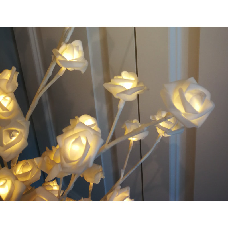 Plante à fleurs, Blanc