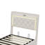 EU & UK Sizes Velvet Ottoman Bed With LED Storage Headboard, Upholstered Bed Frame With Charging Port, Beige-588488660