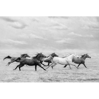 «Horse Run I» par PHBurchett - photographie sur toile tendue