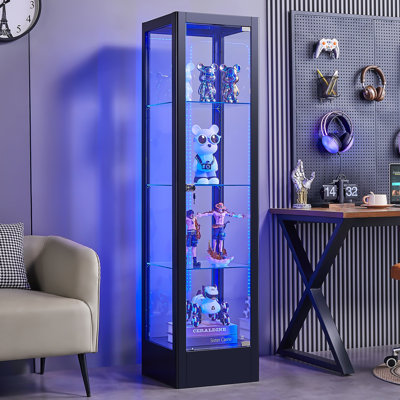 63"H Metal Glass Display Cabinet with Adjustable Shelves and Lights, Lockable Storage Cabinet by Wrought Studio
