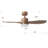 Jaclyn 42'' Ceiling Fan with LED Lights-746310772