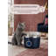 4L/135oz Stainless Steel Multi-Cat Water Dispenser.