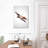 Hawk-2116299763
