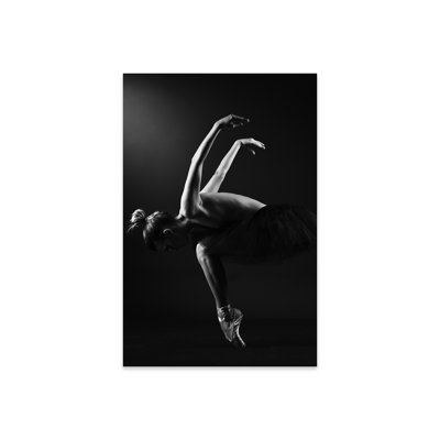 " Classic Ballerina Dancer In Ballet Tutu Dress Classical Posing VI " by Alessandro Della Torre