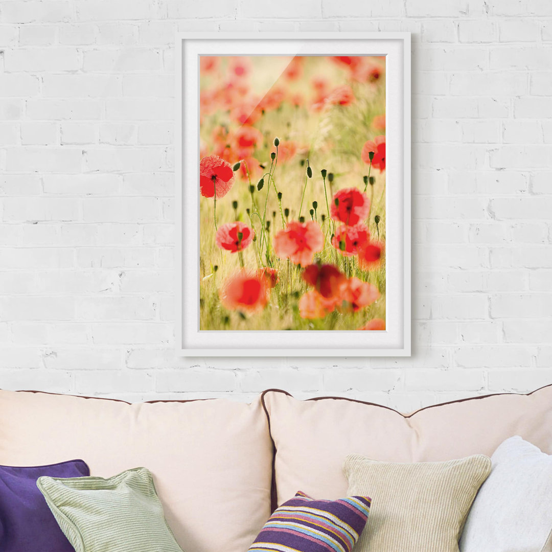 Gerahmtes Poster Sommerliche Mohnblumen