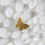 Petals And Butterflies