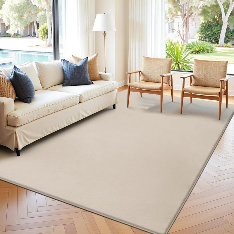 Beige Rugs Living Room Washable Rug