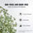 Artificial Eucalyptus Tree - 6 ft, PE/Fabric, Green, Waterproof