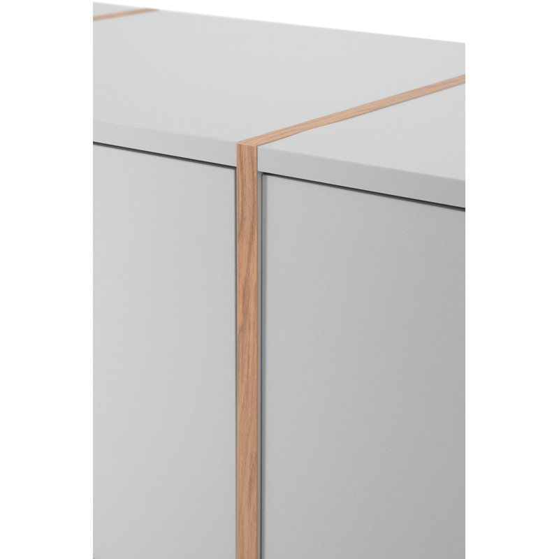 Aurigemma Modern Storage Unit Accent Chest