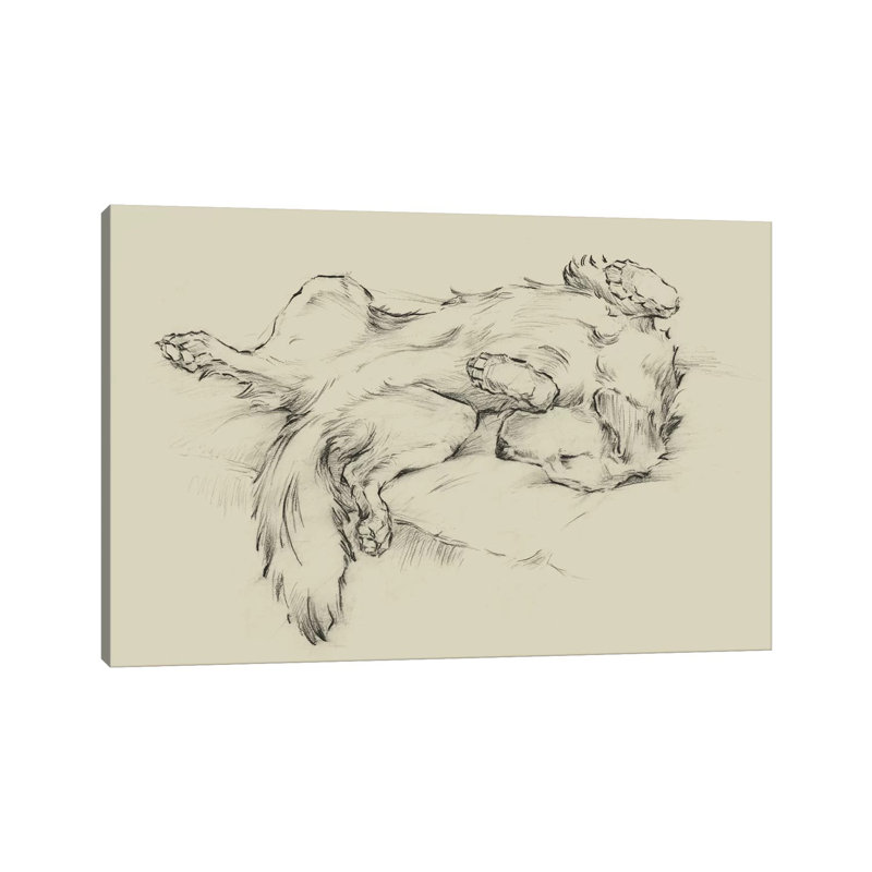 Dog Tired II by Ethan Harper - Wrapped Canvas Print, 20.32 cm H x 30.48 cm W