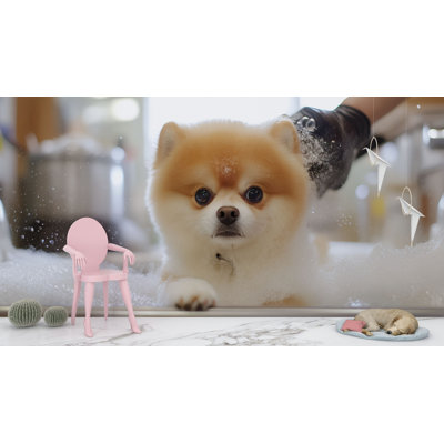 Pomeranian Dog Wallpaper – Fluffy Pet Grooming Scene, Cute Pom In Bubble Bath, Fun Animal-Themed Bathroom Wallpaper For Dog Lovers And Pet Salons