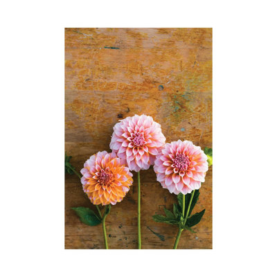 Autumn Mood I by Olivia Joy StClaire - Wrapped Canvas Painting