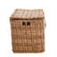Arviso Wicker Trunk