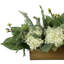 Holiday Arrangement with Wintry Greens and Hydrangeas